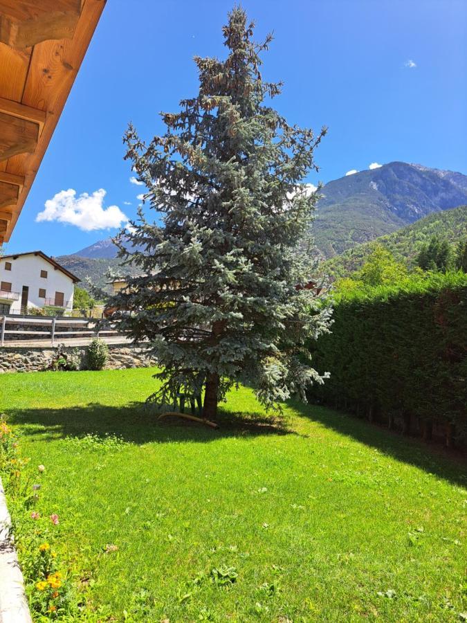 La Maison De Chantal Fénis Esterno foto